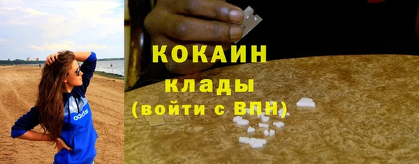 соль ск Вяземский
