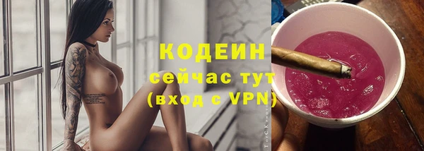 соль ск Вяземский