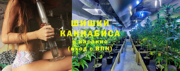 соль ск Вяземский