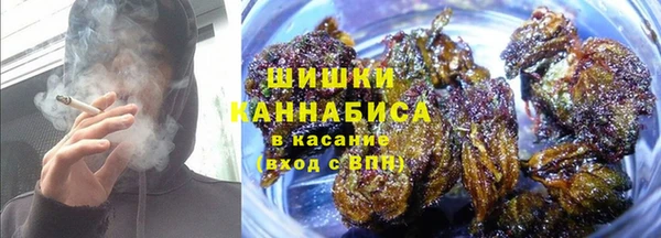 соль ск Вяземский