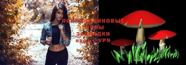 соль ск Вяземский