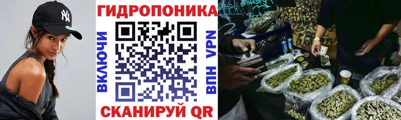 Купить где  Свободный  Бошки Шишки семена 